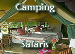 Kenya Camping Safaris