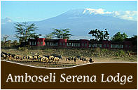 Amboseli Lodge