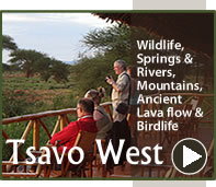 Tsavo West National Park - F Kings Msafiri Safari Attraction