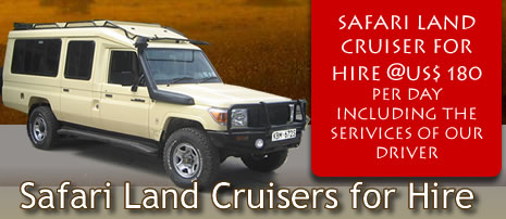 Land Cruiser for Hire